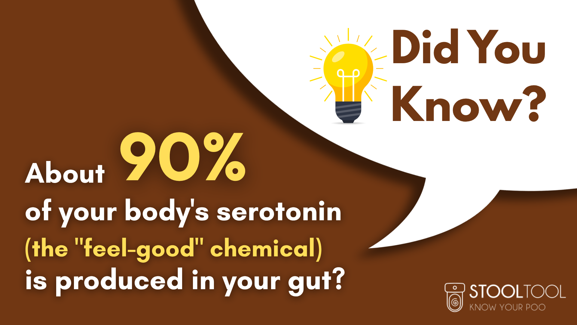 GUT-brain connection